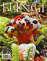 FUNGI Magazine Vol. 12 No. 3 Fall 2019